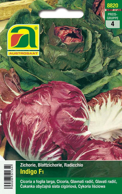  Radicchio Indigo F1