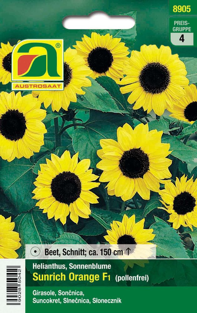 Sonnenblume Sunrich Orange F1
