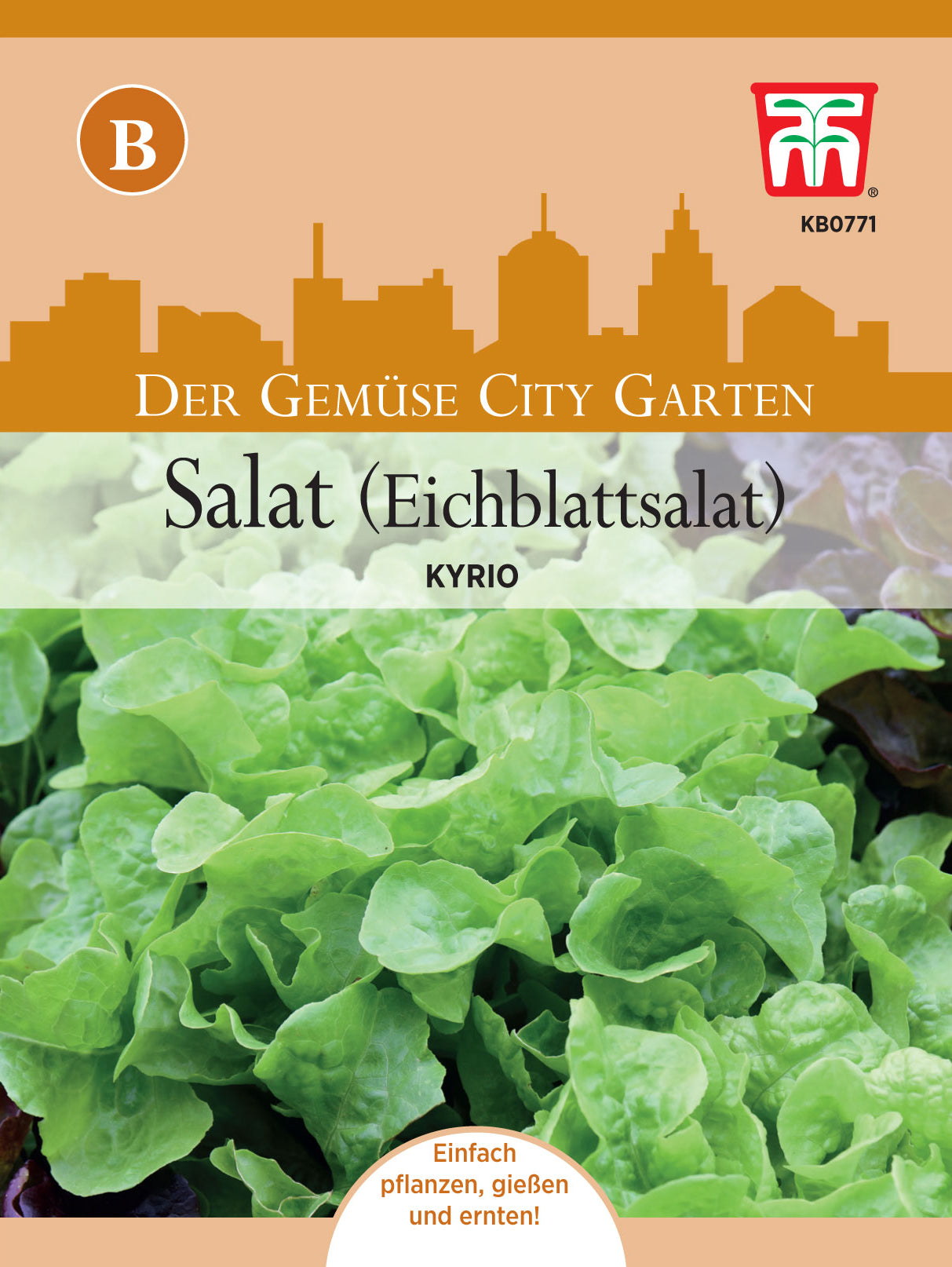  Eichblattsalat Kyrio