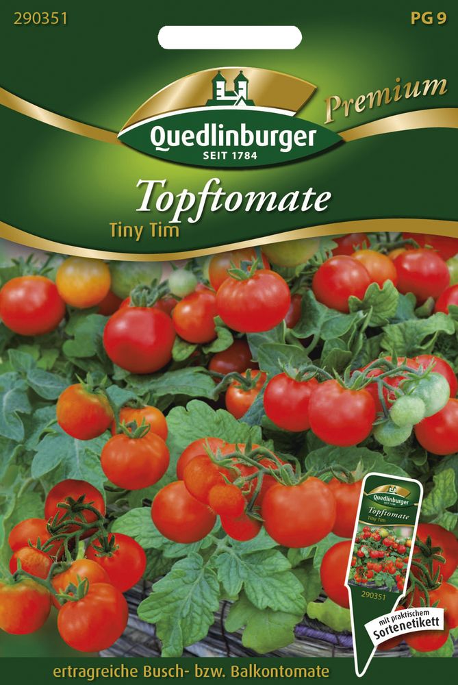  Topftomate Tiny Tim