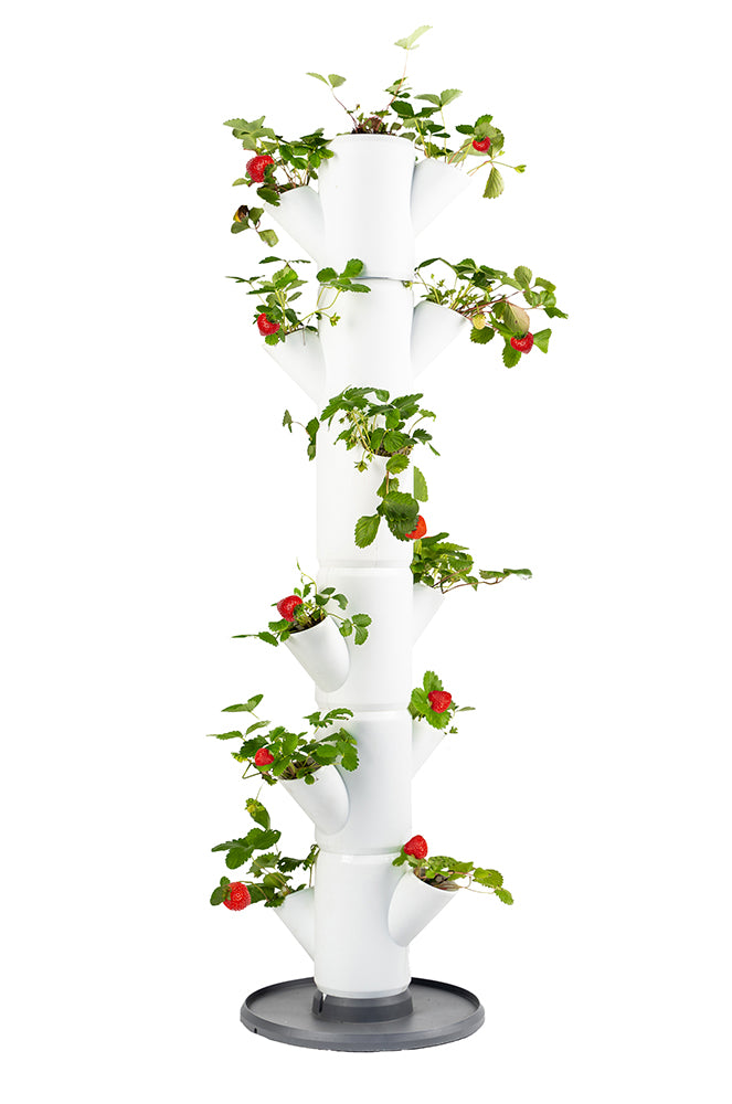  SISSI STRAWBERRY Erdbeerturm Classic Weiß (6 Etagen)