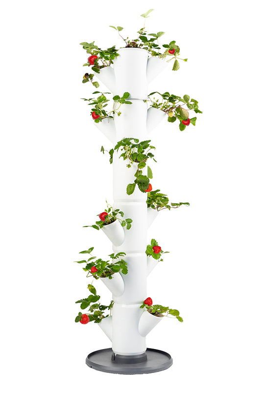  SISSI STRAWBERRY Erdbeerturm Classic Weiß (6 Etagen)