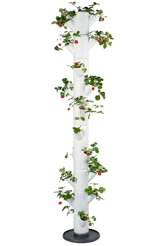  SISSI STRAWBERRY Erdbeerturm Infinity Weiß (10 Etagen)