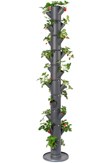  SISSI STRAWBERRY Erdbeerturm Infinity Anthrazit (10 Etagen)
