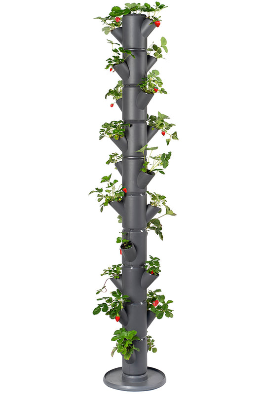  SISSI STRAWBERRY Erdbeerturm Infinity Anthrazit (10 Etagen)