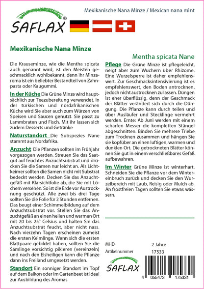  Mexikanische Nana Minze