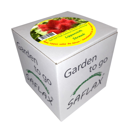  Garden To Go Lippenstiftstrauch