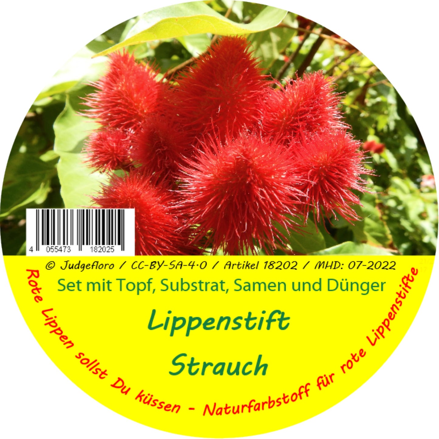  Garden To Go Lippenstiftstrauch