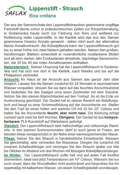  Garden To Go Lippenstiftstrauch