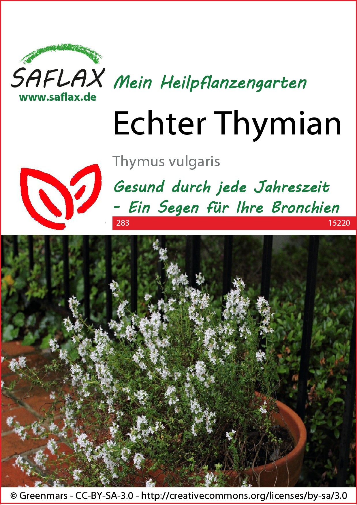 Echter Thymian [MHD 11/2025]