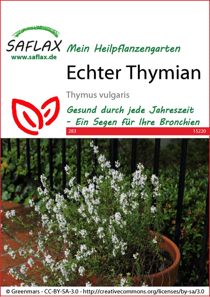  Echter Thymian [MHD 11/2025]