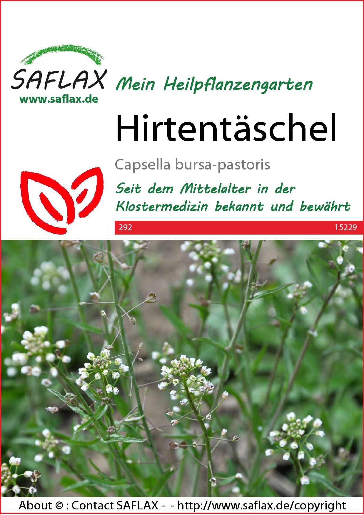 Hirtentäschel