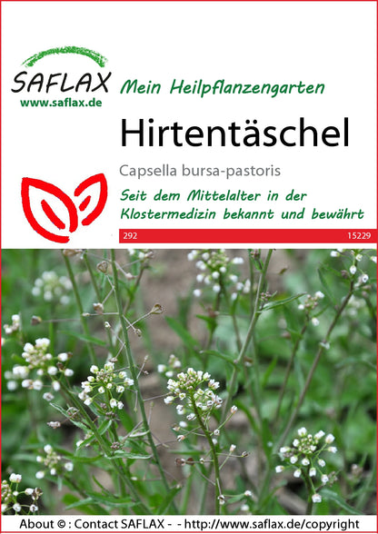  Hirtentäschel