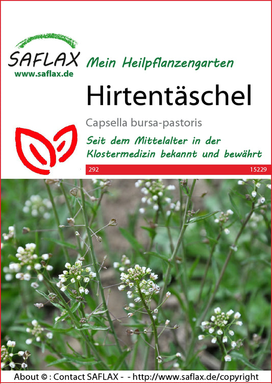  Hirtentäschel