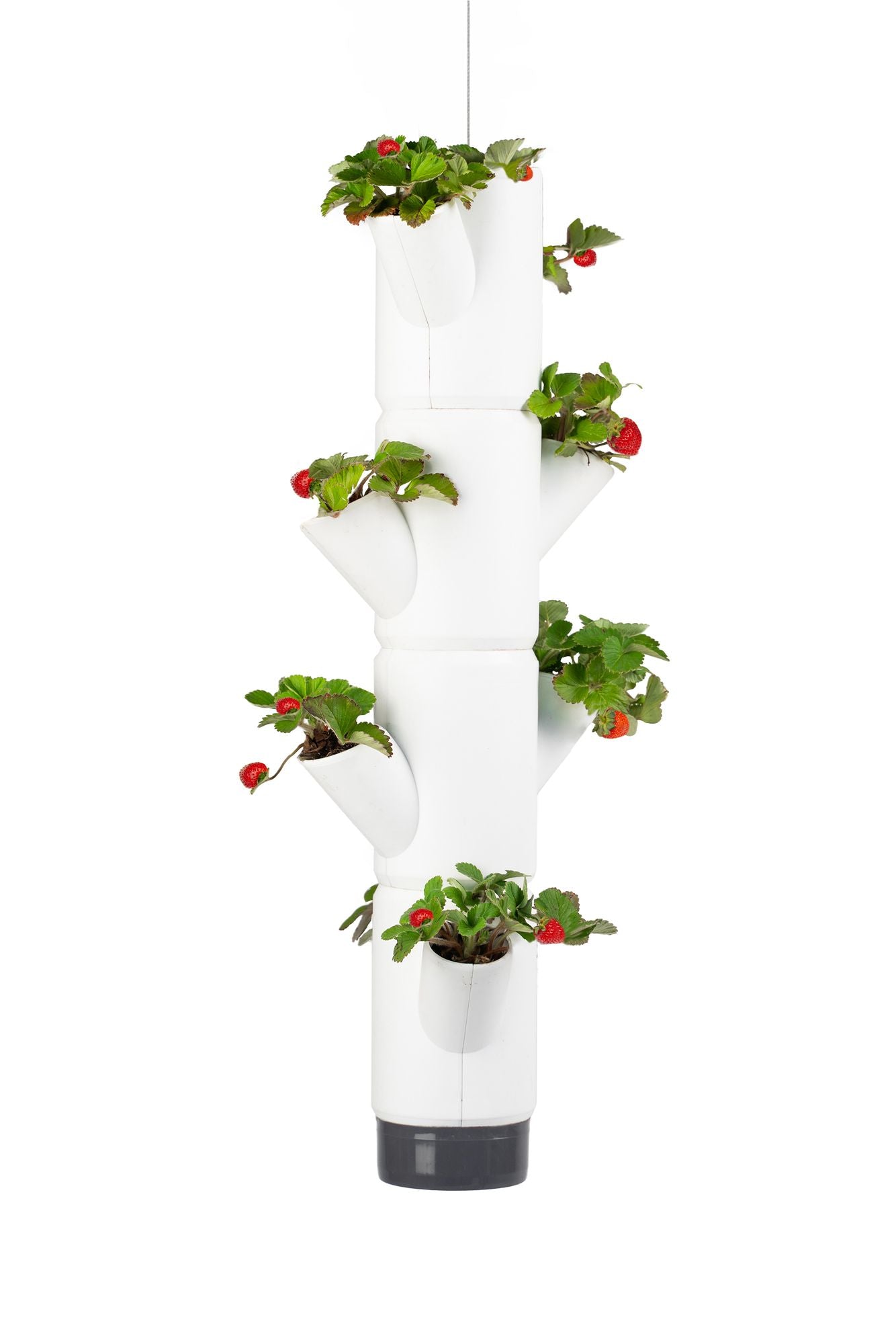  SISSI STRAWBERRY Erdbeerturm Hanging Weiß (4 Etagen)