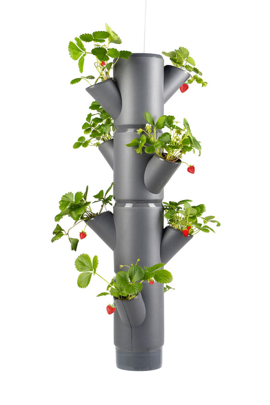  SISSI STRAWBERRY Erdbeerturm Hanging Anthrazit (4 Etagen)
