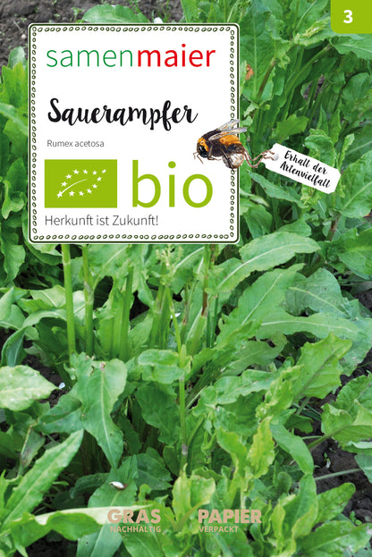  BIO Wildblüte Sauerrampfer