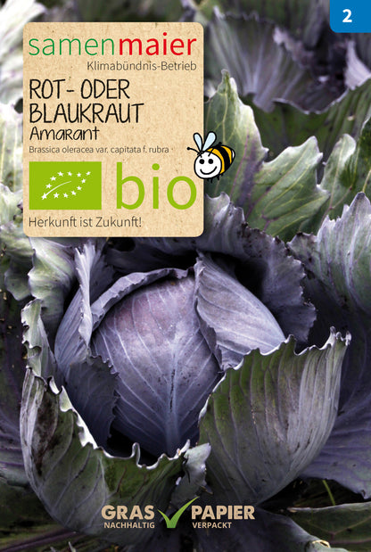  BIO Rot - / Blaukraut Amaranth