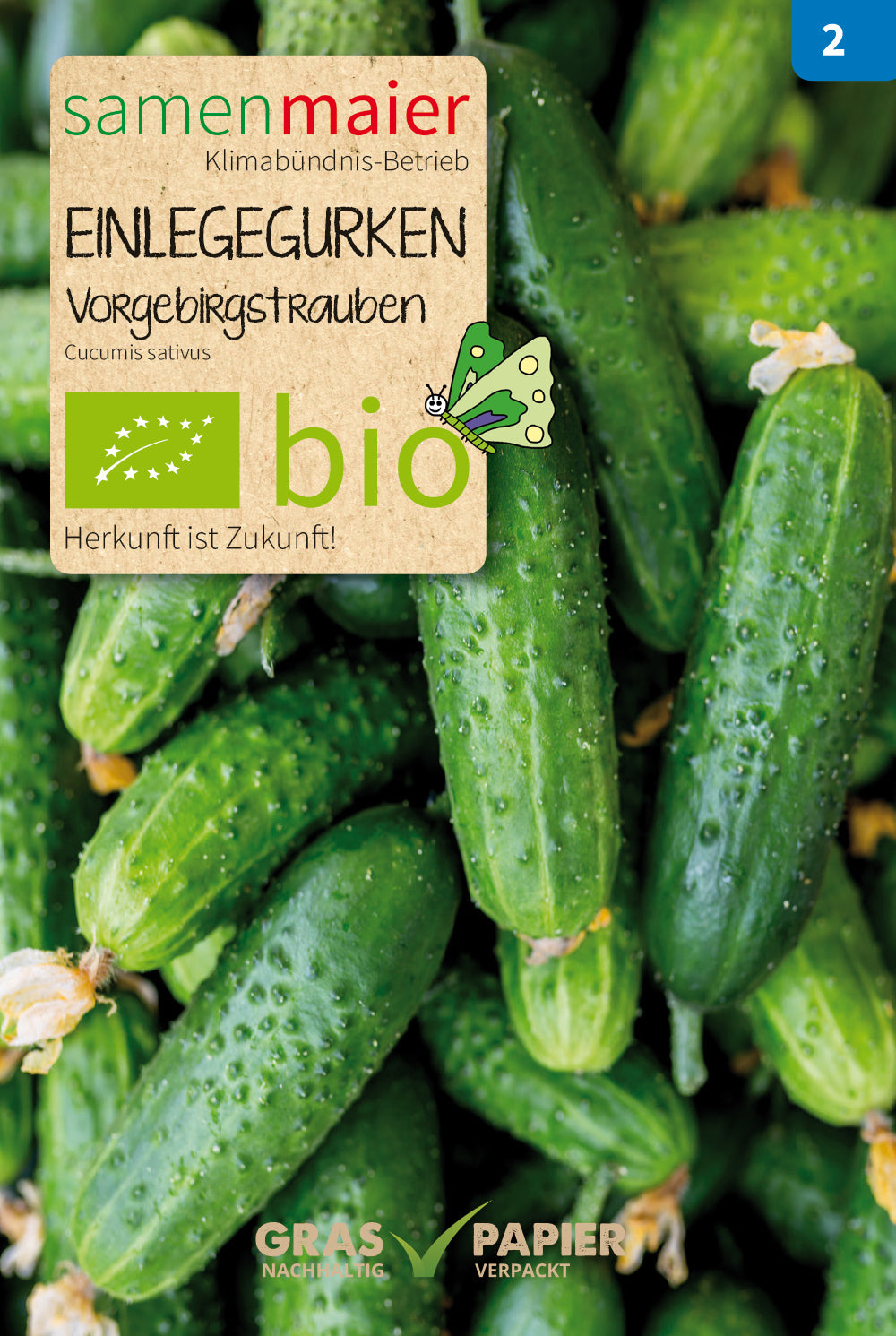  BIO Einlegegurken Vorgebirgstrauben