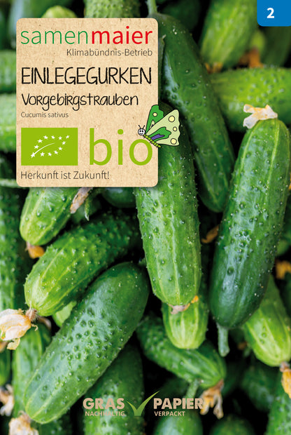  BIO Einlegegurken Vorgebirgstrauben