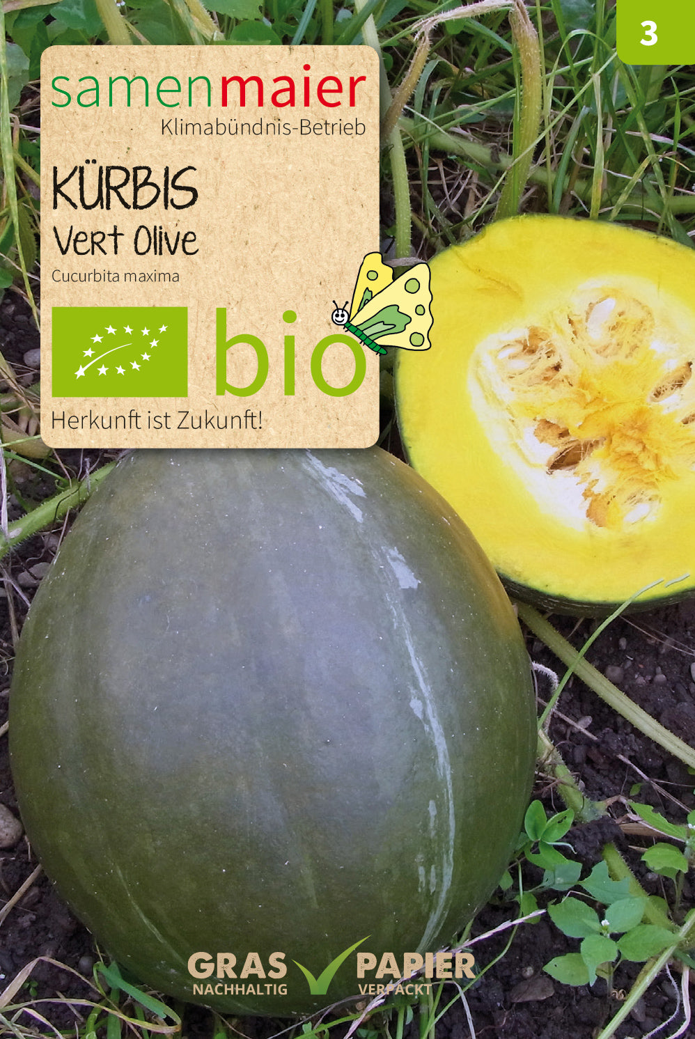  BIO Kürbis Vert Olive