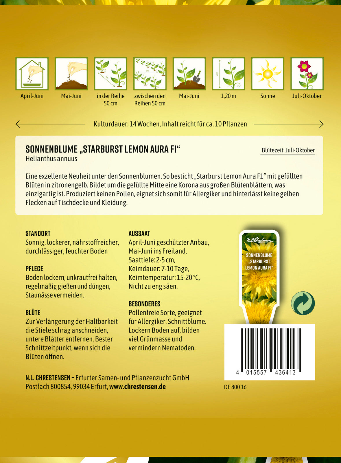  Sonnenblume Starburst Lemon Aura F1
