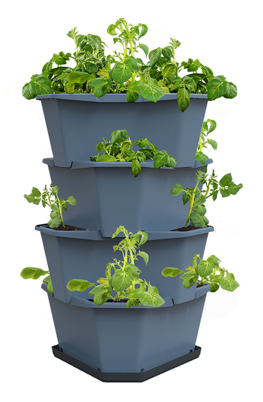  PAUL POTATO Kartoffelturm Starter Set Blau (4 Etagen)