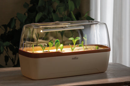  BoQube Gewächshaus & Pflanzkasten L Plus LED Creme-kupfer