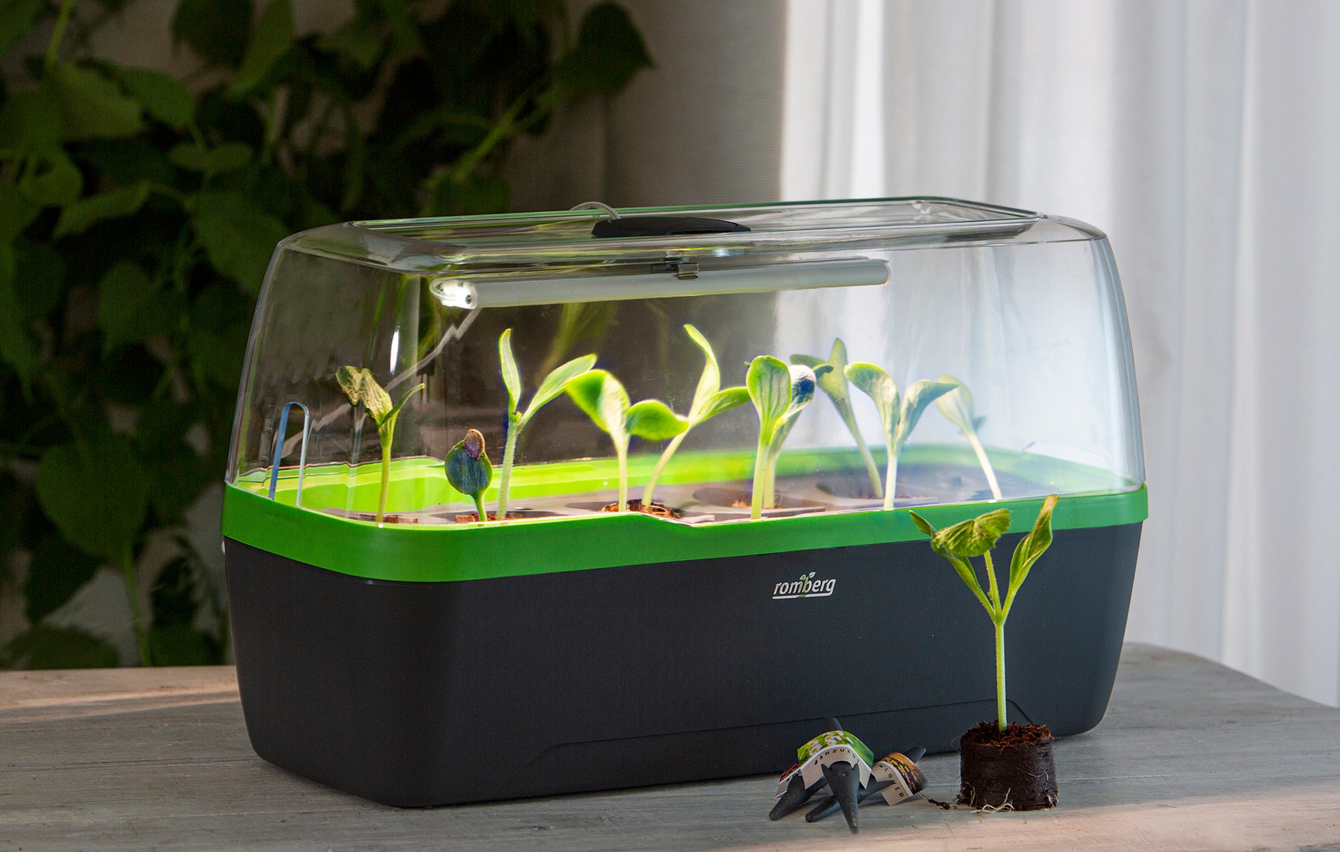  BoQube Gewächshaus & Pflanzkasten L Plus LED Anthrazit-grün