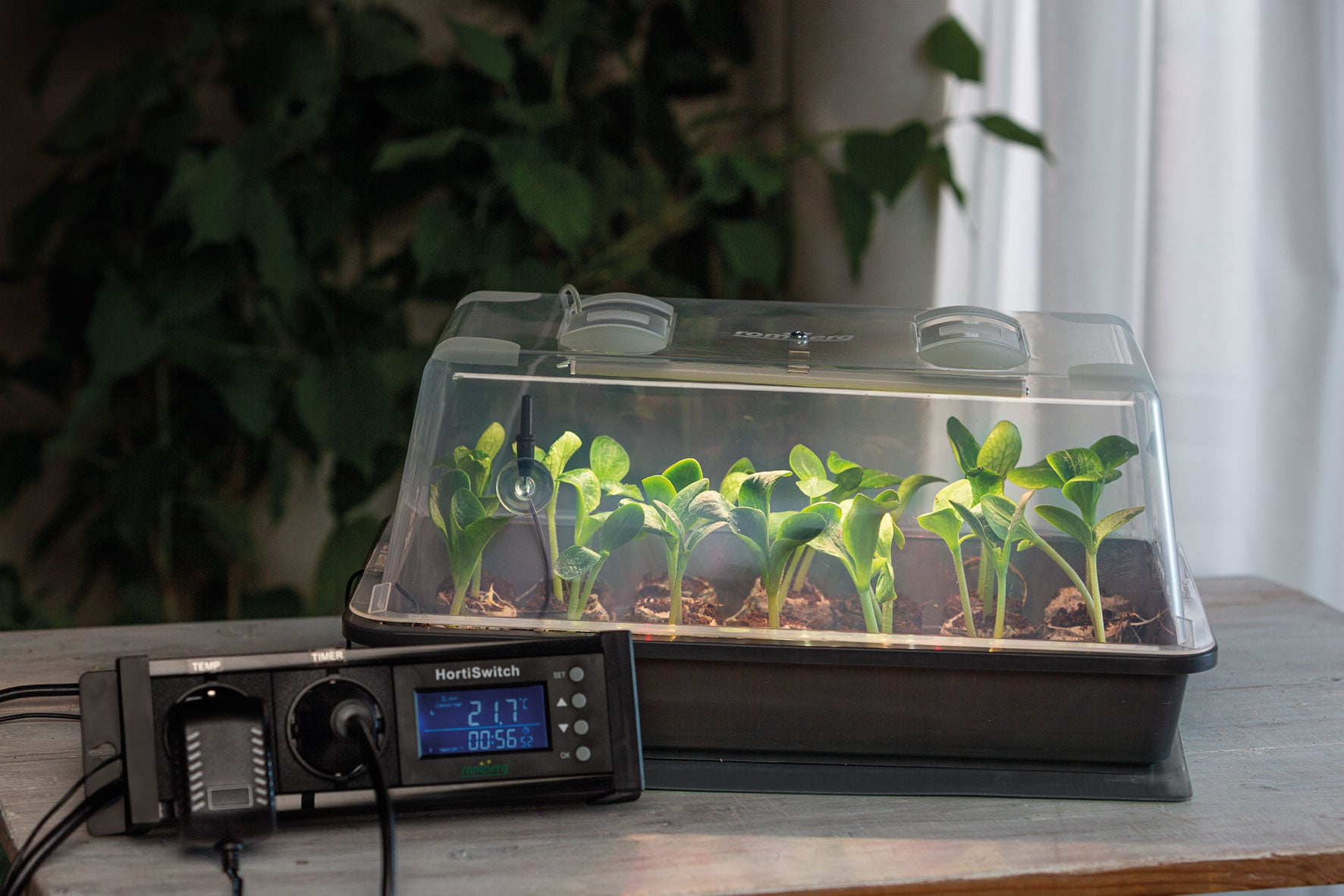  Gewächshaus Climatic M Mit LED