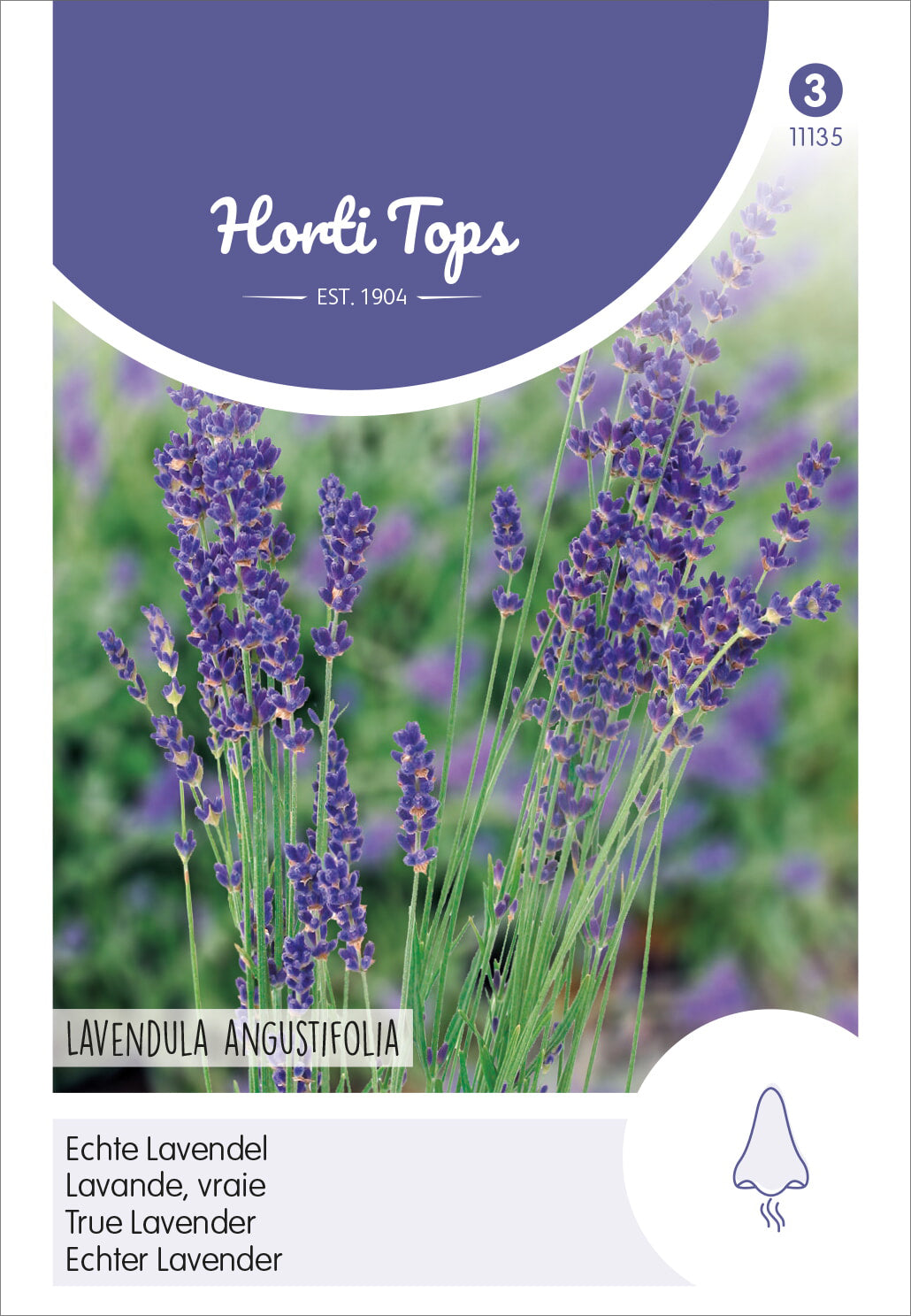  Echter Lavendel