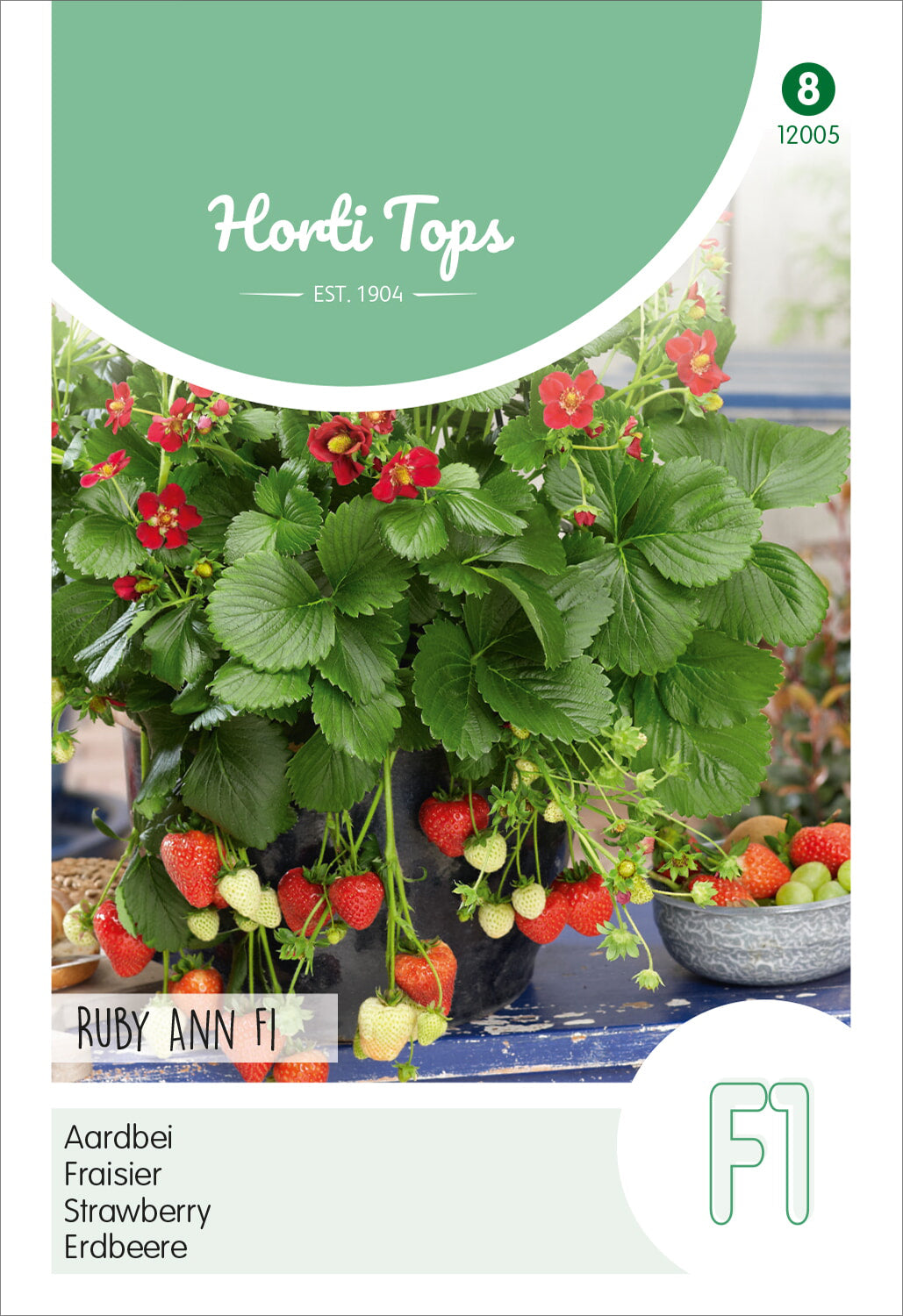  Erdbeere Ruby Ann F1 [MHD 07/2025]