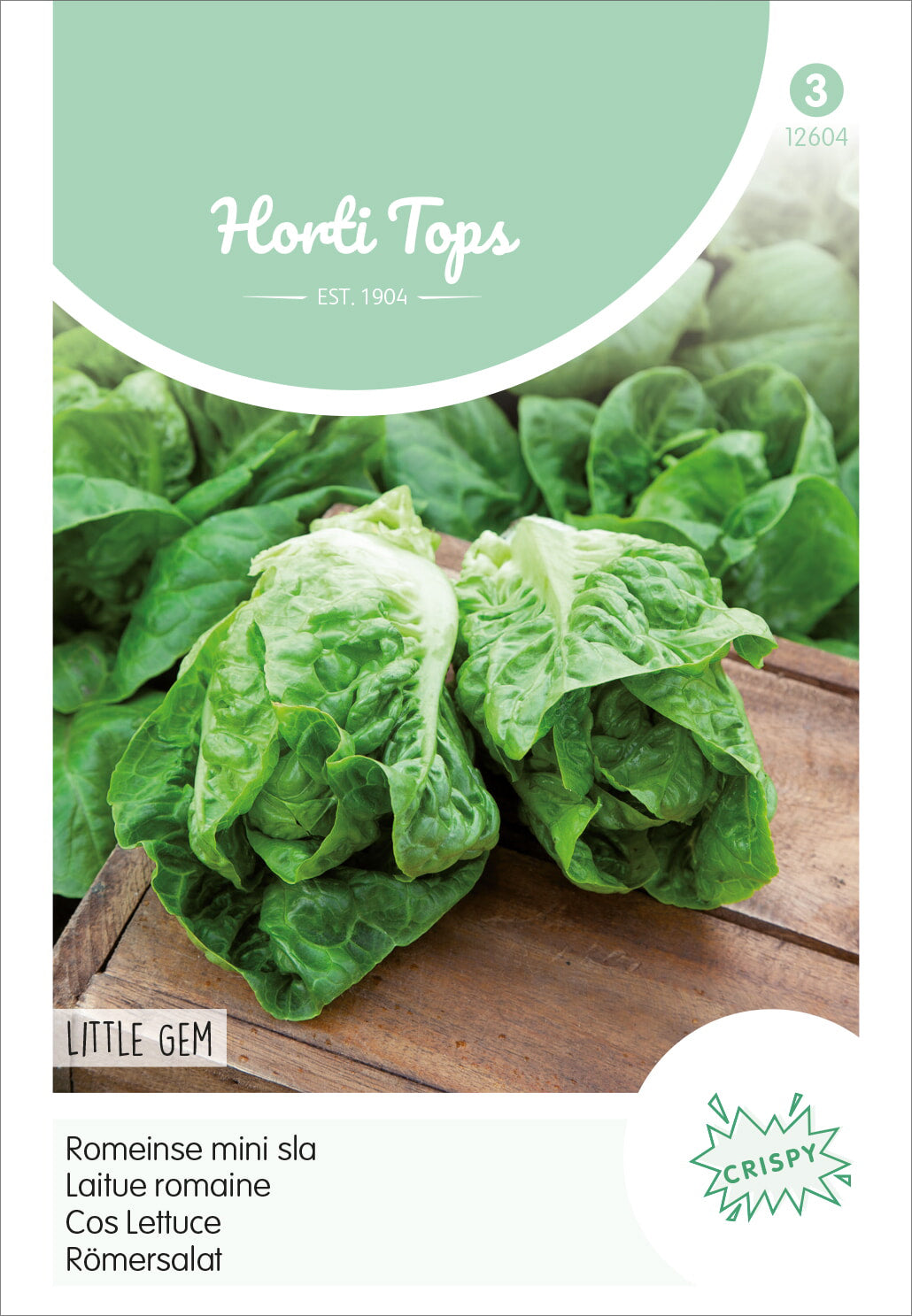  Salat Little Gem