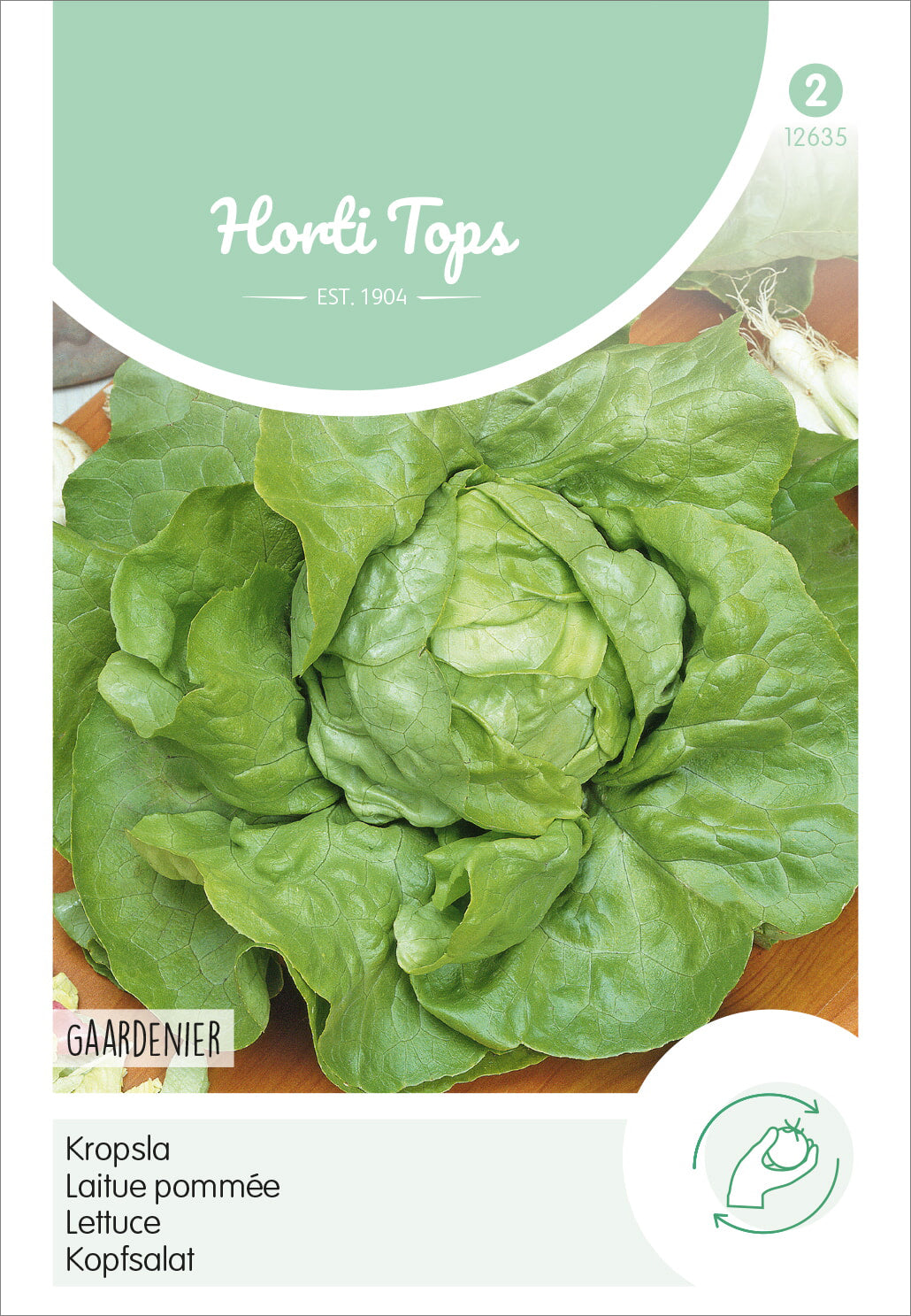  Kopfsalat Gärtnerstolz