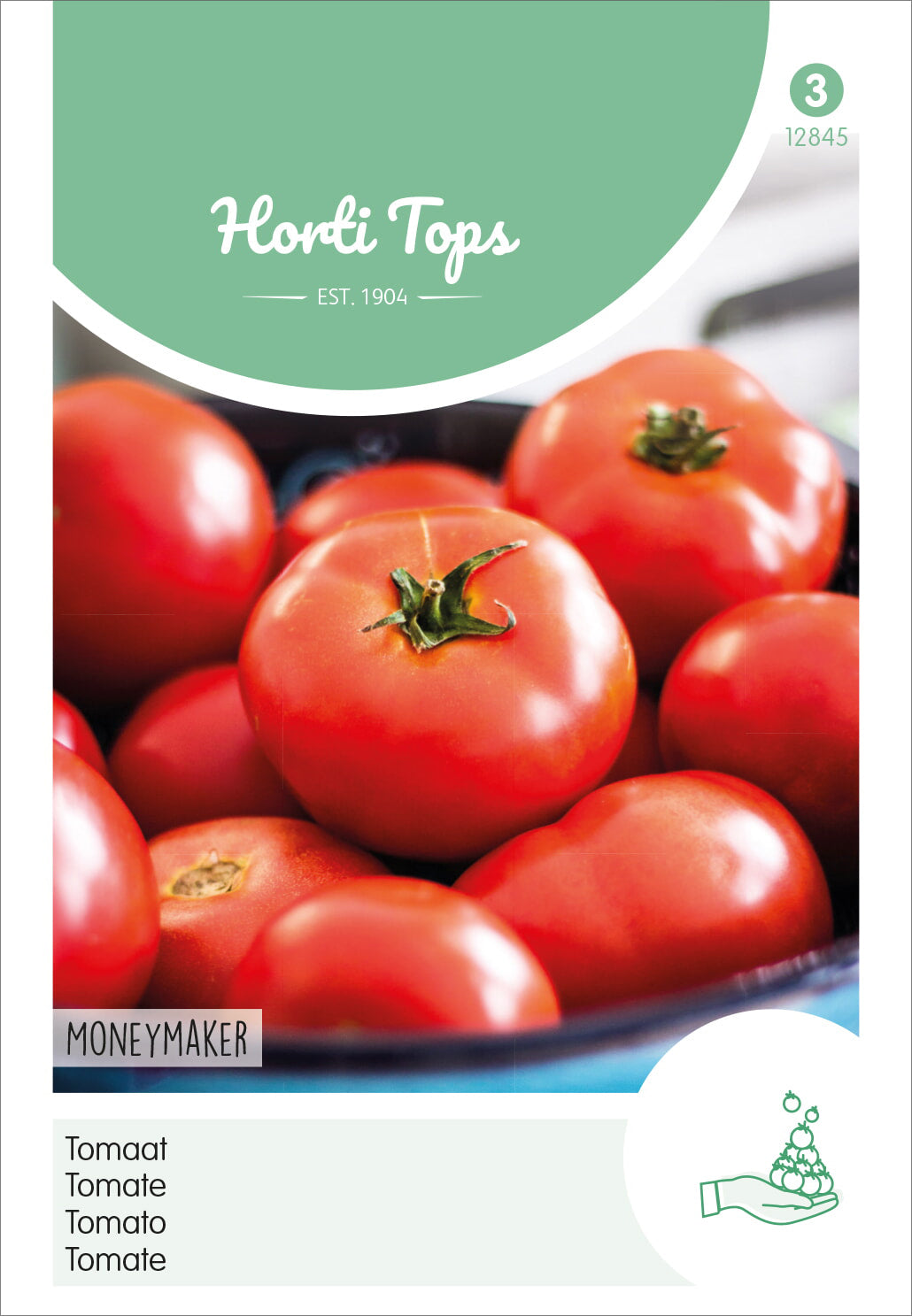  Tomaten Moneymaker