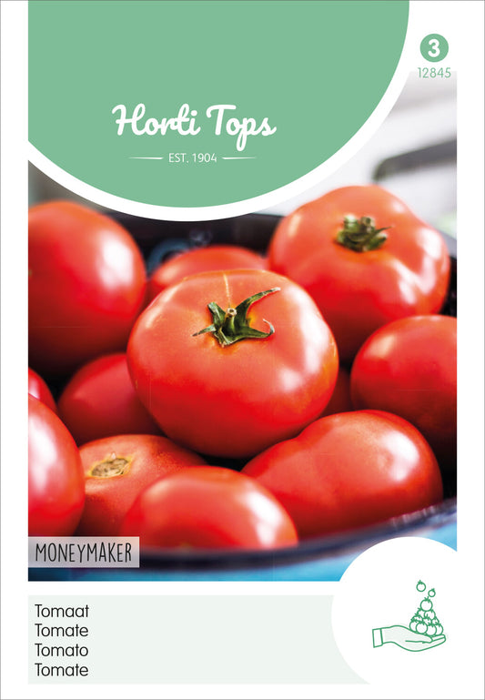  Tomaten Moneymaker