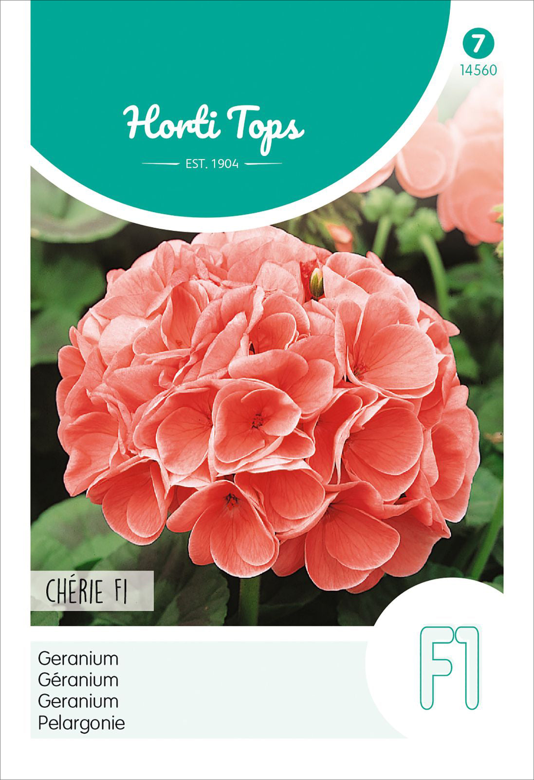  Pelargonie Chérie F1 Salmon
