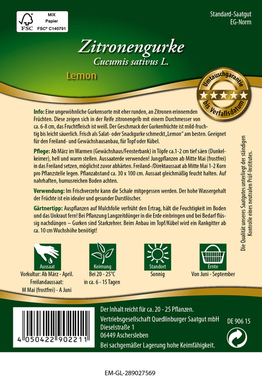  Gurke Lemon