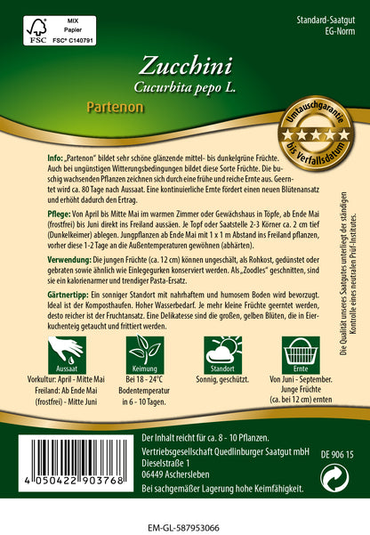  Zucchini Partenon