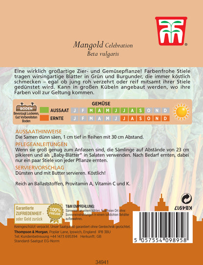  Mangold Celebration