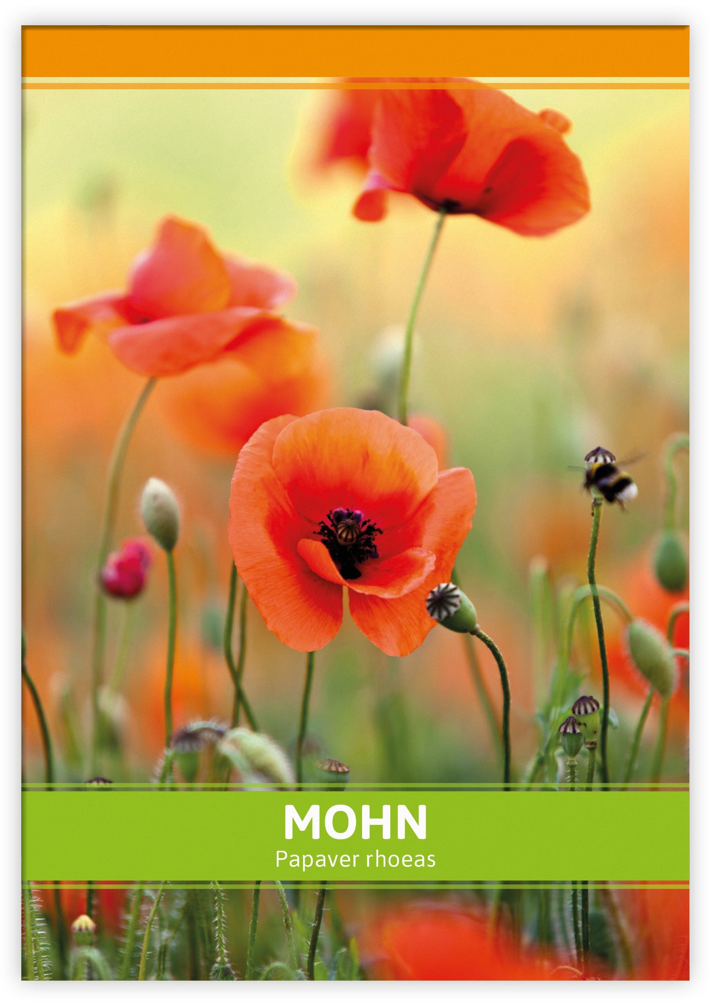  Mohn Für Werbezwecke (100 Tütchen)