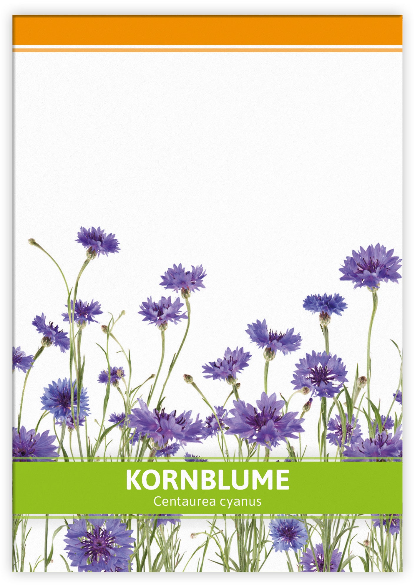  Kornblume Für Werbezwecke (100 Tütchen)