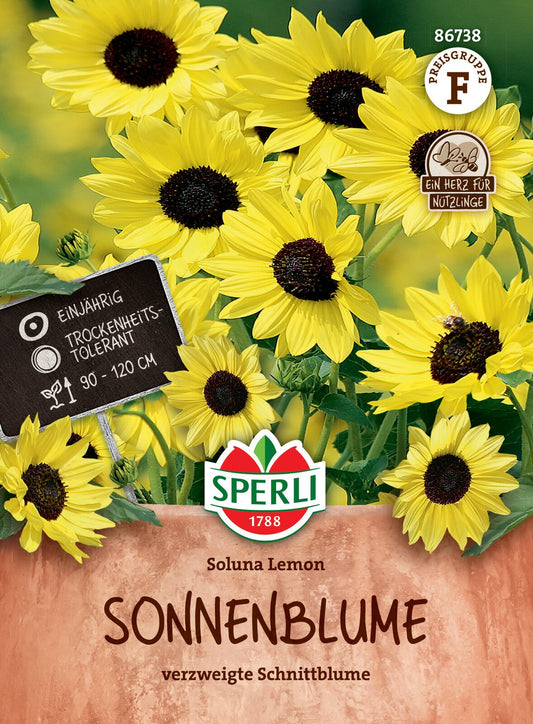  Sonnenblume Soluna Lemon
