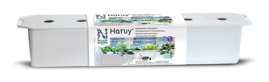  Hydroponik-Pflanzbehälter Harvy 6 Starterpacket