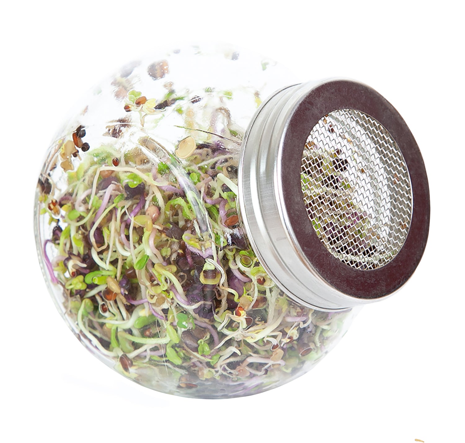  Sprossenglas (425 Ml)