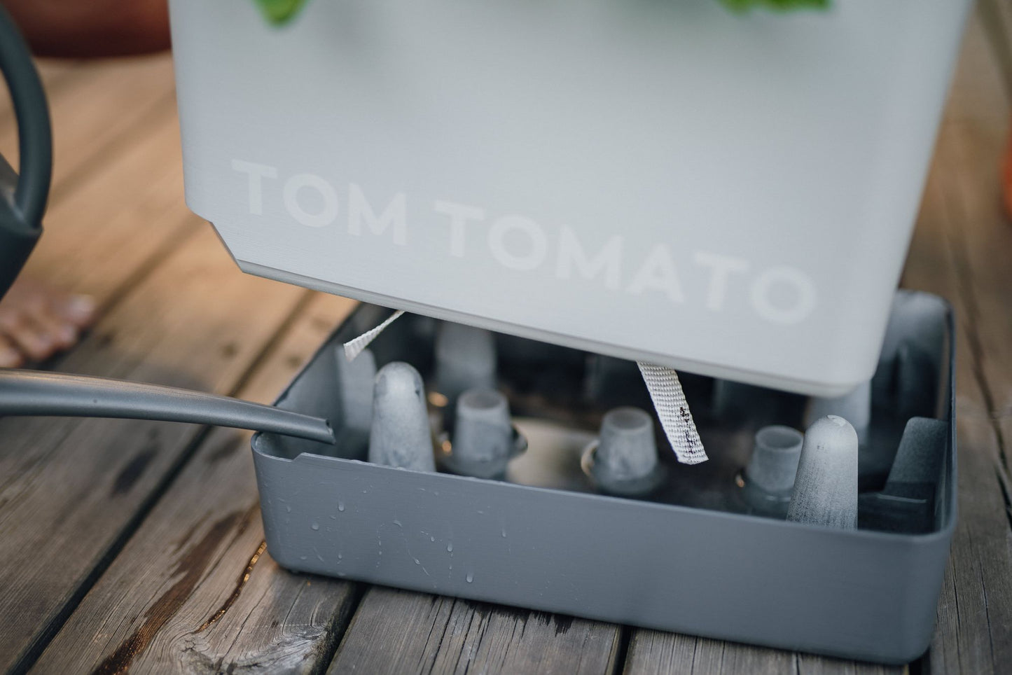  TOM TOMATO Tomatentopf Hellgrau