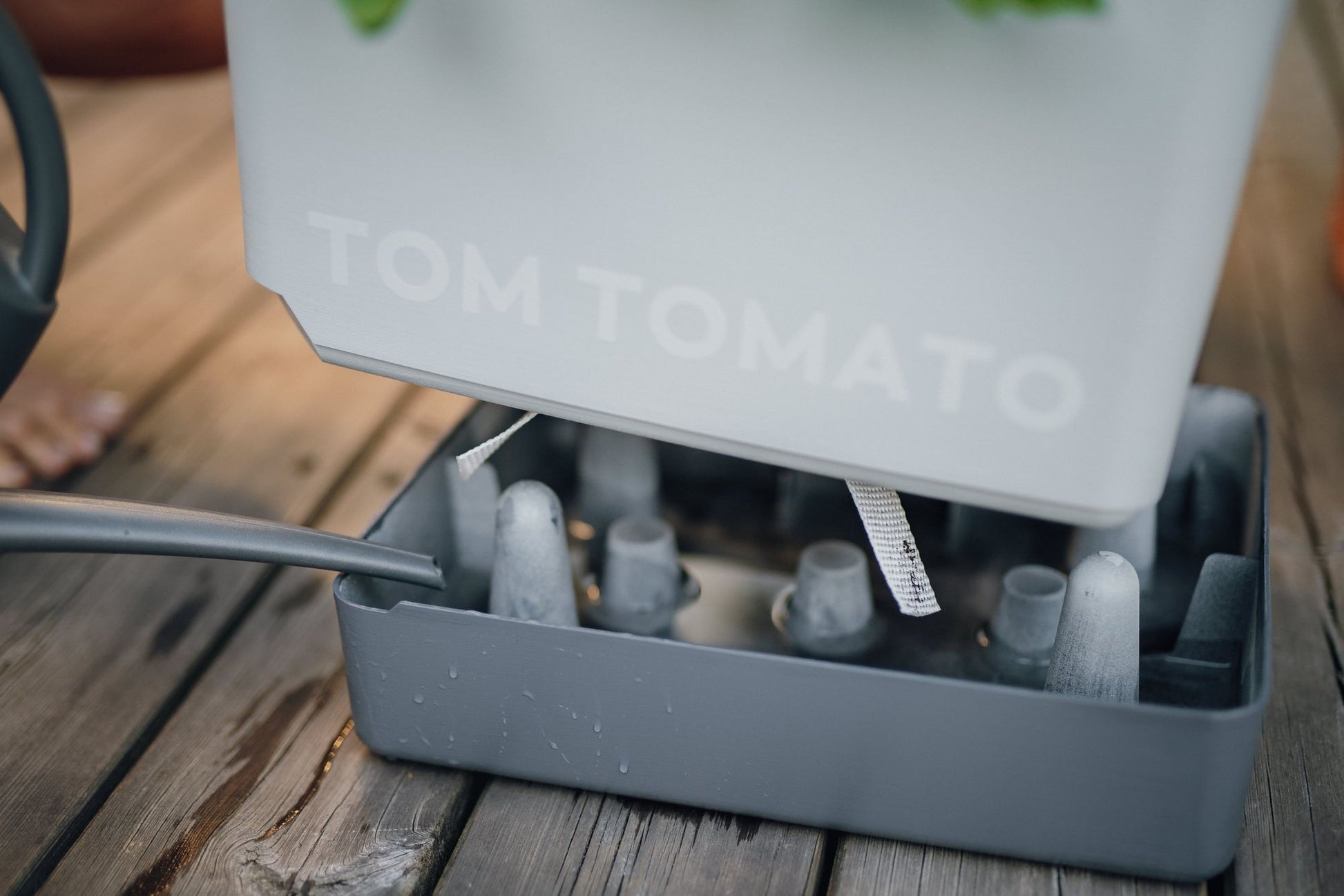  TOM TOMATO Tomatentopf Hellgrau