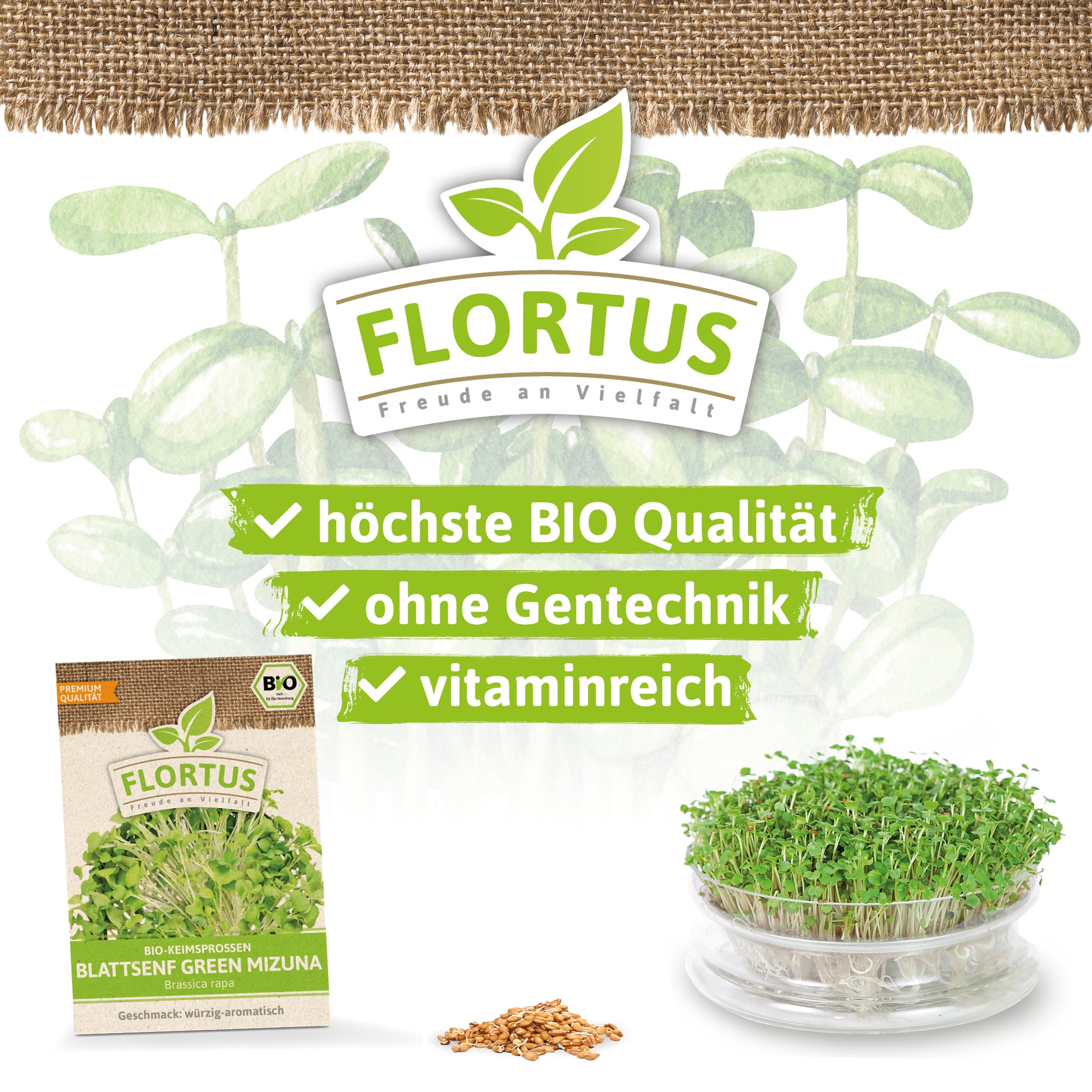  BIO Keimsprossen Blattsenf Green Mizuna