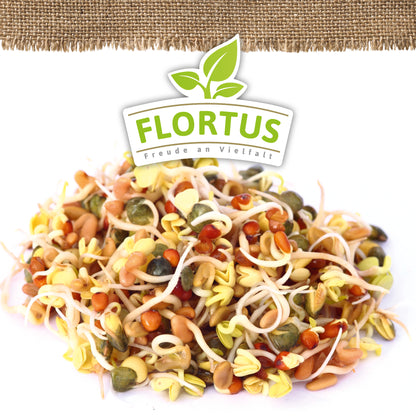  BIO Keimsprossen Fitness-Mischung (Weizen, Mungbohnen Und Rettich)