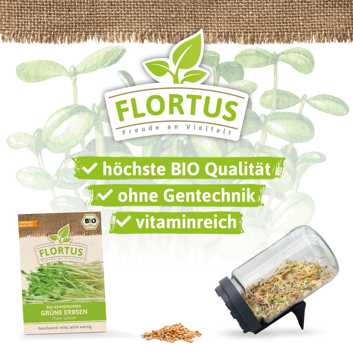  BIO Keimsprossen Grüne Erbse